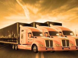 Five Questions You Need to Ask a Fleet Graphics Company